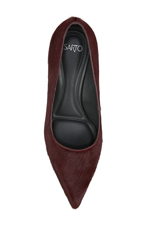 Shop Sarto By Franco Sarto Sage Pointed Toe Pump In Bordo