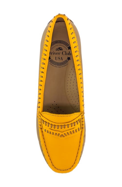 Shop Driver Club Usa Maple Ave Penny Loafer In Cheddar Napa Soft/contrast