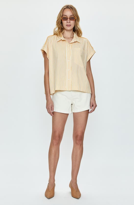 Shop Pistola Cara Stripe Short Sleeve Shirt In Marigold Stripe
