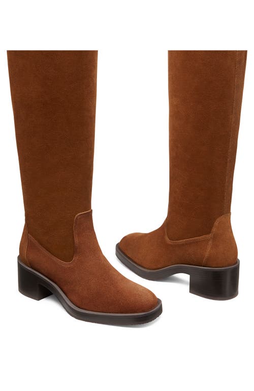 Shop Stuart Weitzman Kaia Knee High Boot In Coffee