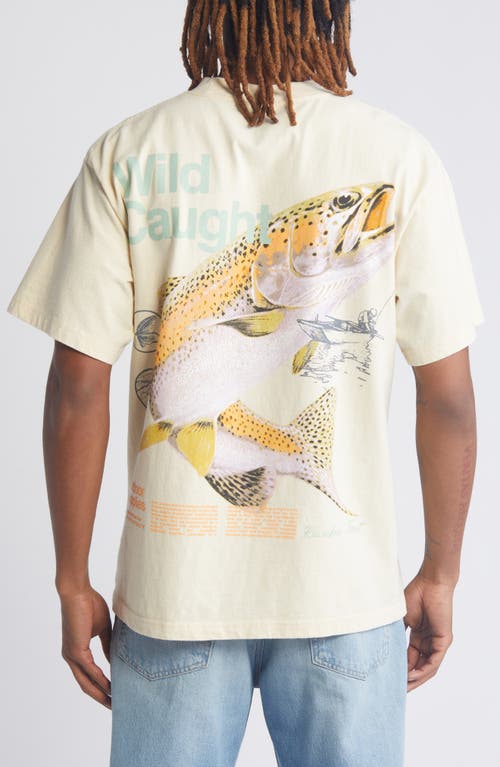 Shop Id Supply Co Wild Caught Graphic T-shirt In Cream Body