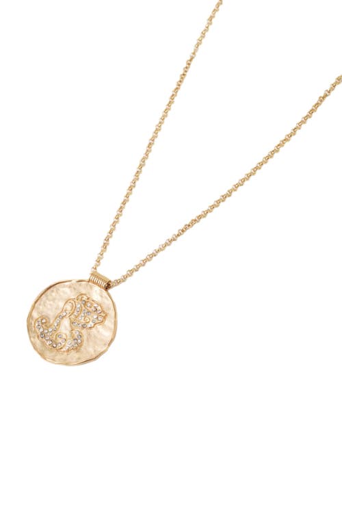 Maje Zodiac Medal In Aquarius