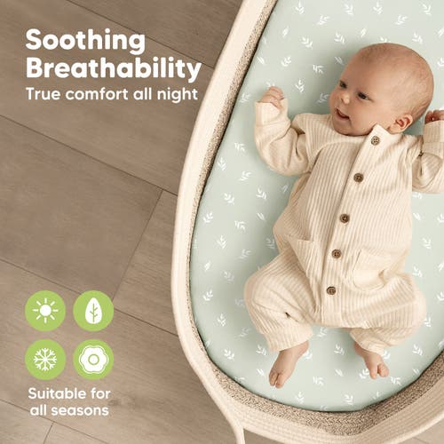 Keababies 2-pack Soothe Fitted Bassinet Sheets In Herb