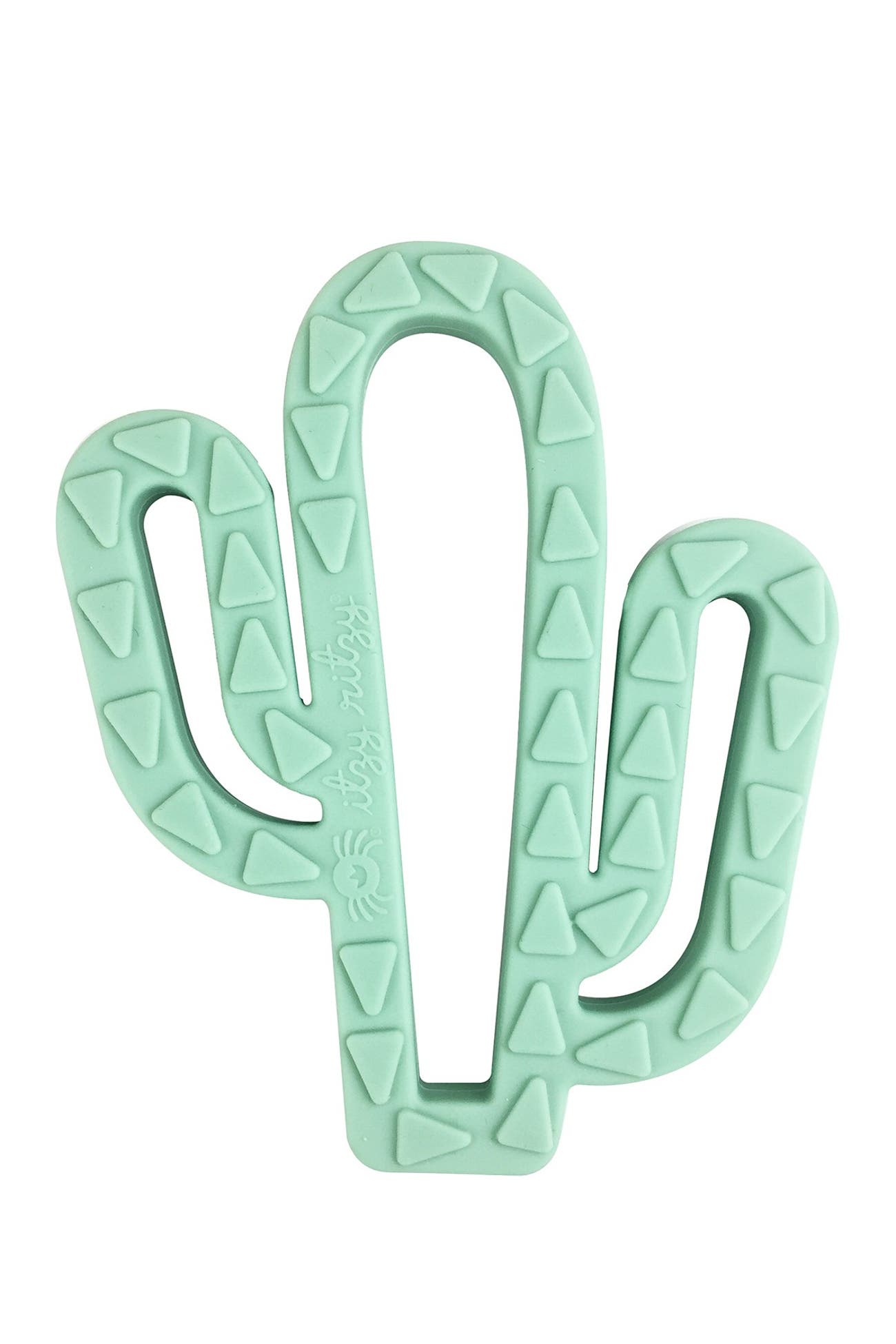 itzy ritzy cactus