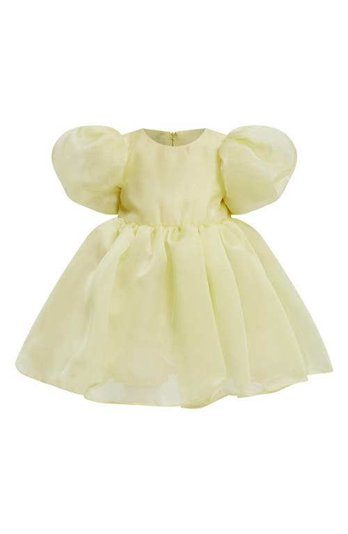 Bardot Junior Kids' Juliet Organza Dress Sunshine at Nordstrom,