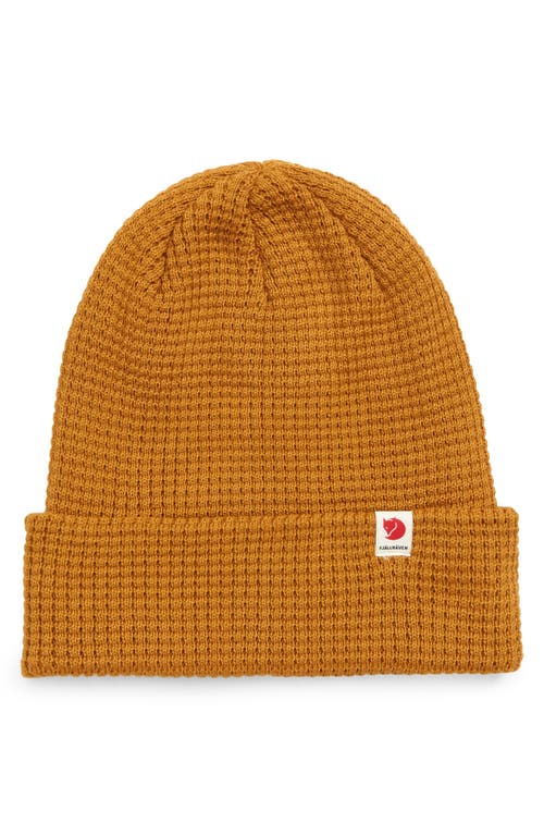 EAN 7323450721466 product image for Fjällräven Tab Beanie in Acorn at Nordstrom | upcitemdb.com