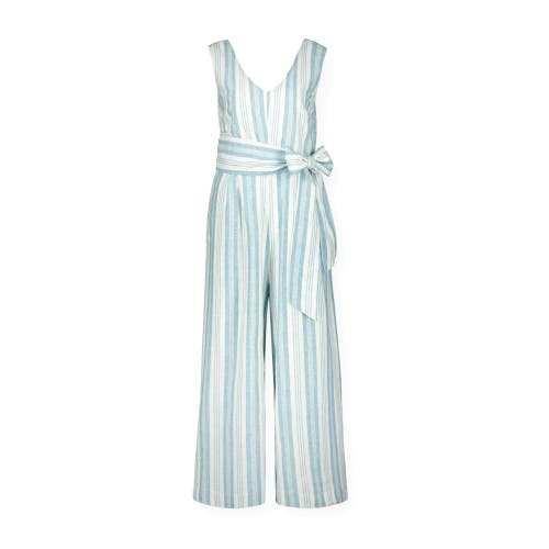 Shop Hope & Henry Womens' Tie-waist Wide Leg Jumpsuit In Blue Stripe