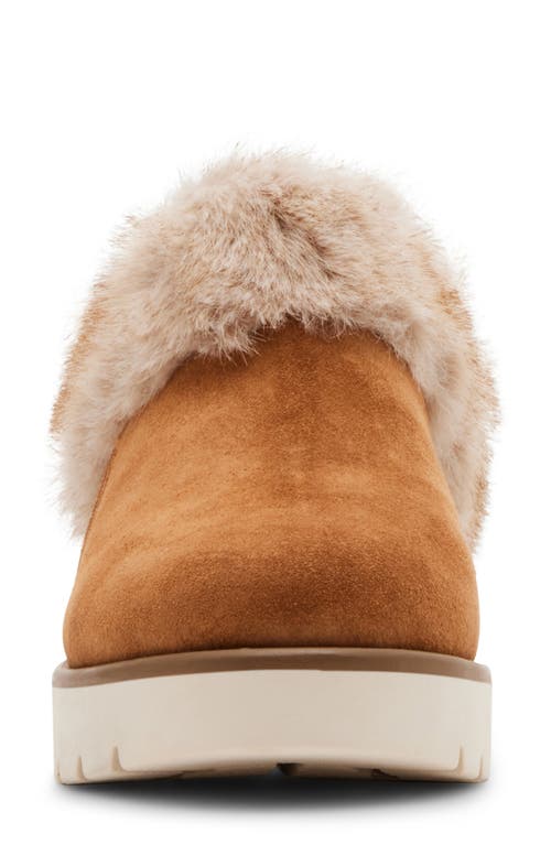 Shop Blondo Karoline Faux Fur Clog In Tan Suede