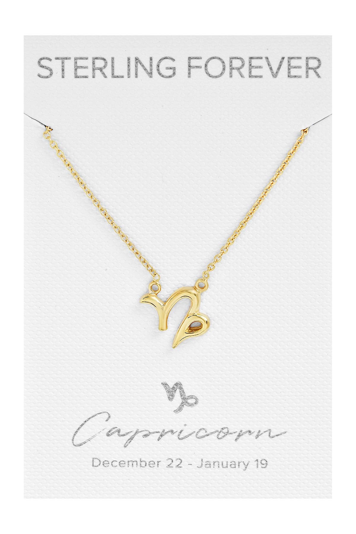 capricorn zodiac necklace