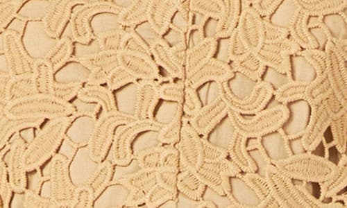 Endless Rose Allover Lace Midi Dress In Tan