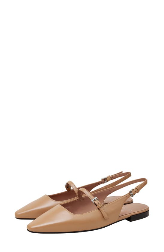 Shop Linea Paolo Celeste Slingback Pointed Toe Flat In Desert