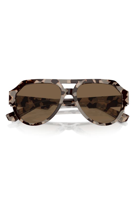 Shop Dolce & Gabbana 56mm Square Aviator Polarized Sunglasses In Dark Brown