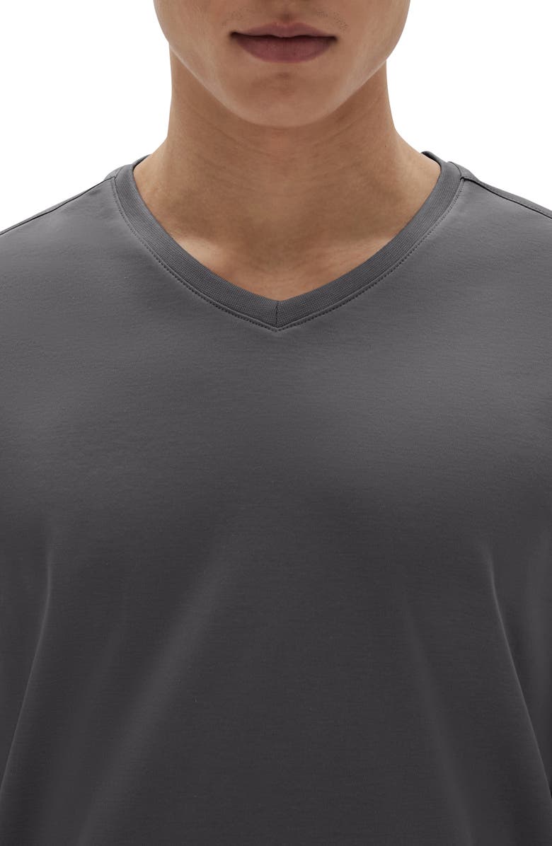 Robert Barakett Georgia Regular Fit V-Neck T-Shirt | Nordstrom