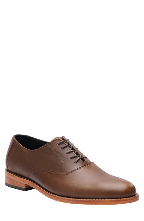 Nisolo Everyday Oxford Brown at Nordstrom