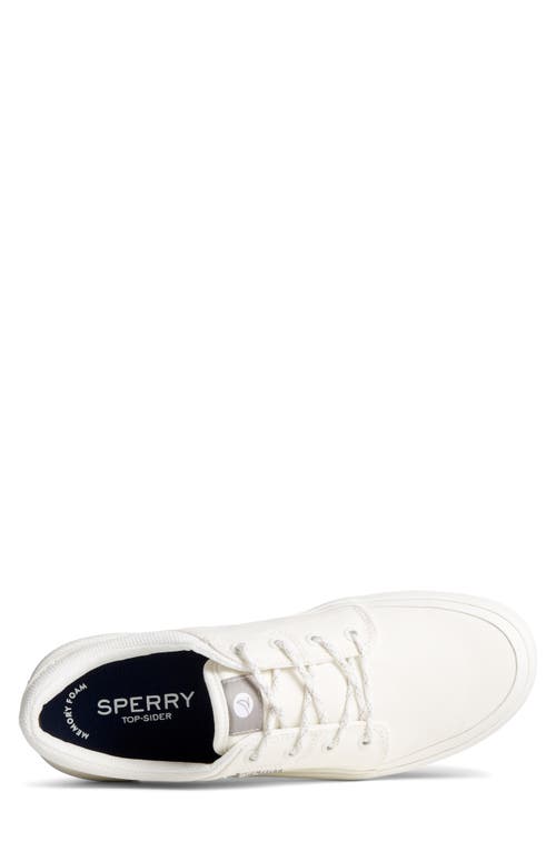 Sperry Crossjack Sneaker In White