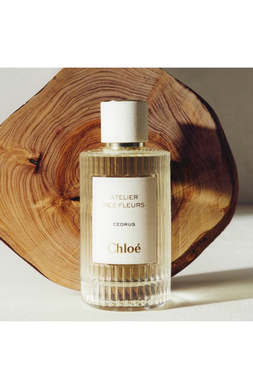 Chloé Atelier Des Fleurs Cedrus Eau De Parfum In No Color