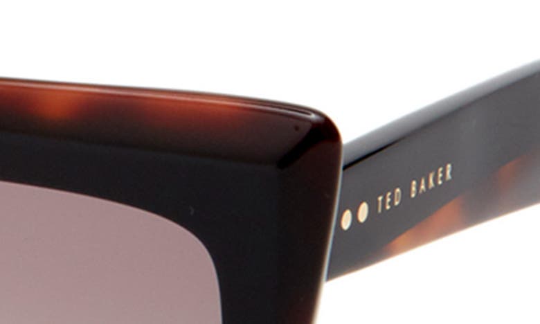 Shop Ted Baker 55mm Polarized Cat Eye Sunglasses In Black