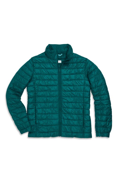 Primary Gown-ups Puffer Jacket In Spruce