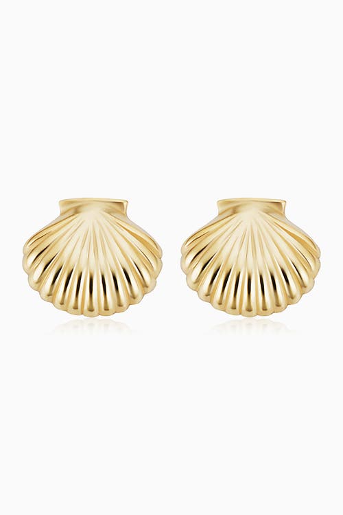 Oradina Seashell Studs In Yellow Gold