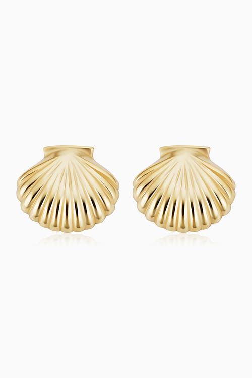 Shop Oradina 14k Yellow Gold Seashell Studs