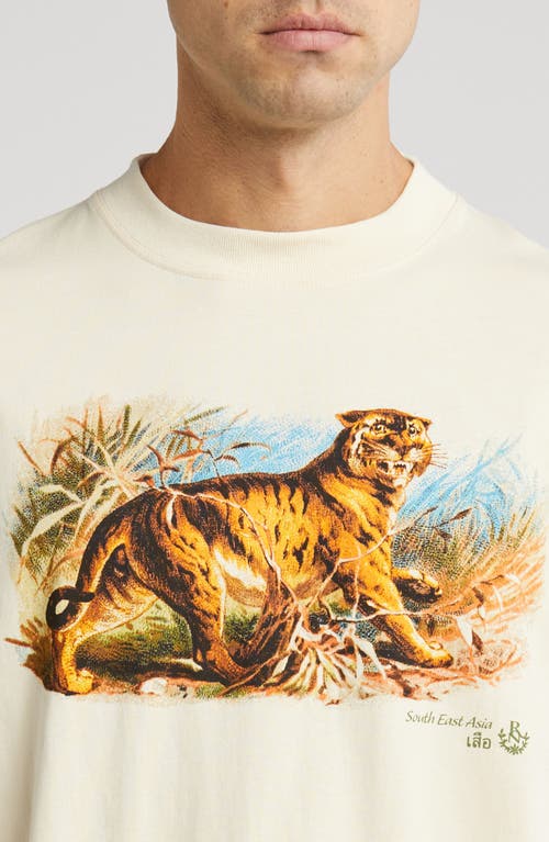 Shop Id Supply Co Tiger Eyes Cotton Graphic T-shirt In Cream