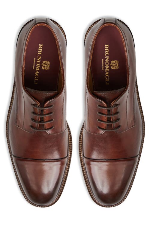 Shop Bruno Magli Aydin Cap Toe Derby In Cognac