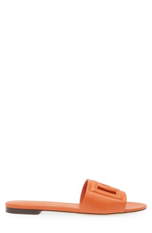 Dolce & Gabbana Slide Sandals In Orange Leather With Logo In Orange
