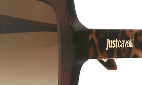 Just Cavalli 53mm Square Sunglasses In Brown Brown Brown