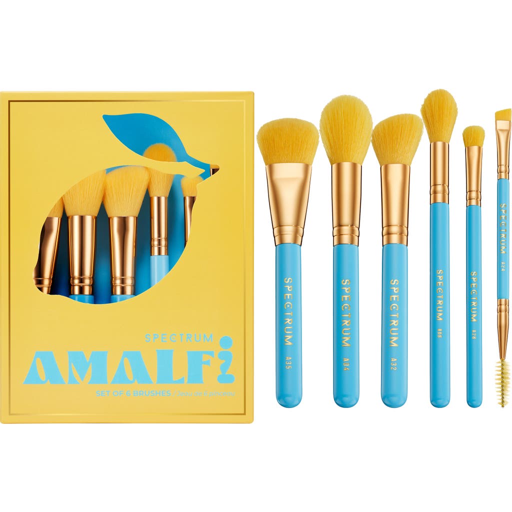 SPECTRUM Amalfi Travel Book 6-Piece Makeup Brush Set $56 Value in Blue/Yellow