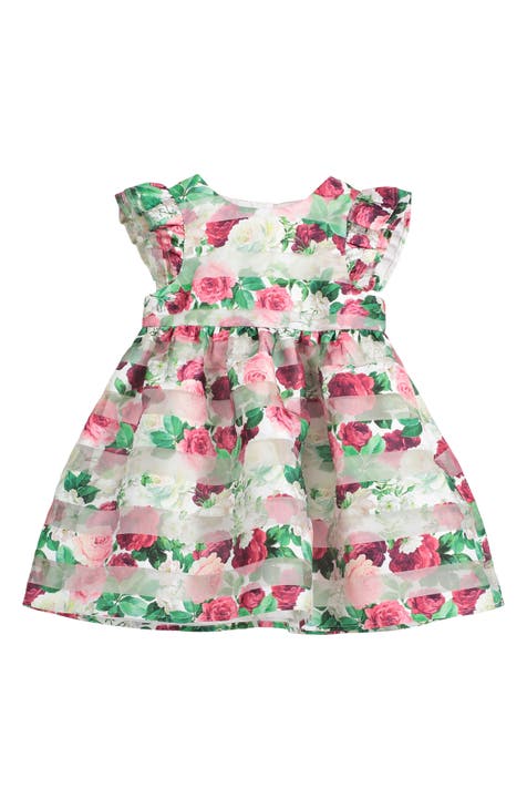 Floral Stripe Flutter Sleeve Organza Dress (Baby)