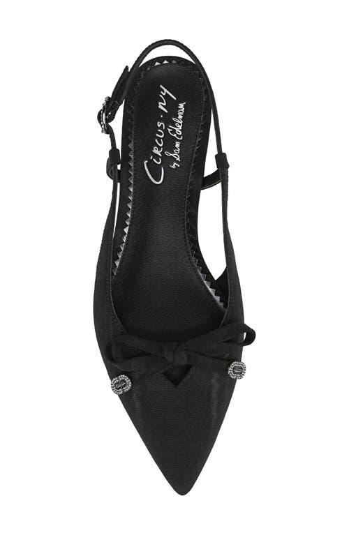 Shop Circus Ny By Sam Edelman Lafayette Pointed Toe Slingback Sandal In Black