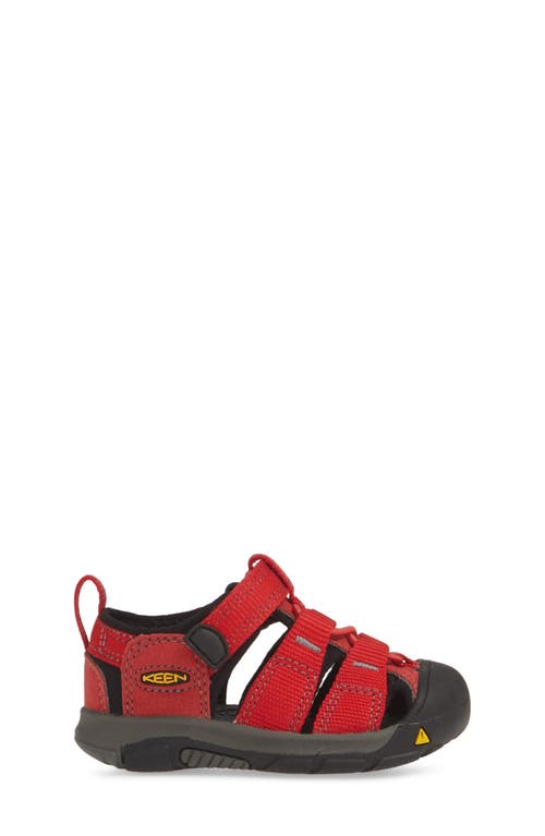 Shop Keen Kids' Newport H2 Water Friendly Sandal In Ribbon Red/gargoyle