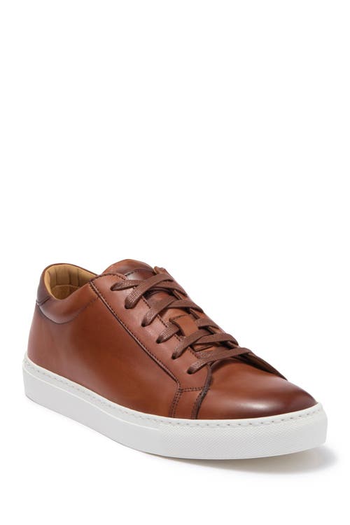 TO BOOT NEW YORK Devin Leather Sneaker in Cognac 