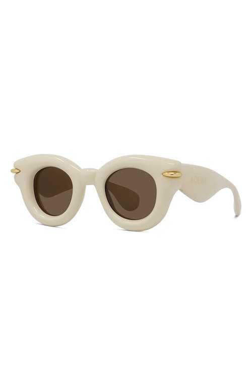 Shop Loewe Inflated Pantos 46mm Round Sunglasses In Ivory/brown