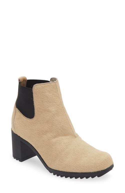 Arche Shelsi Chelsea Boot In Brown