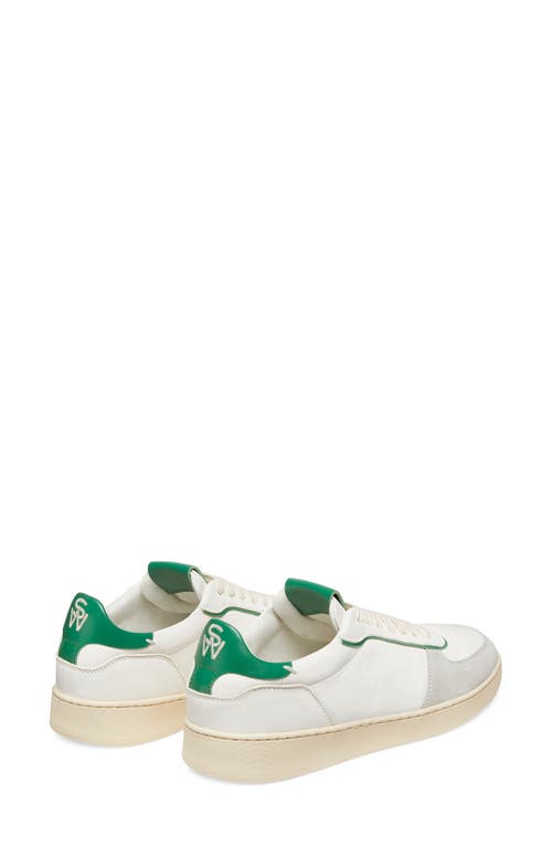 Shop Stuart Weitzman Sw Courtside Sneaker In Light Grey/white/green