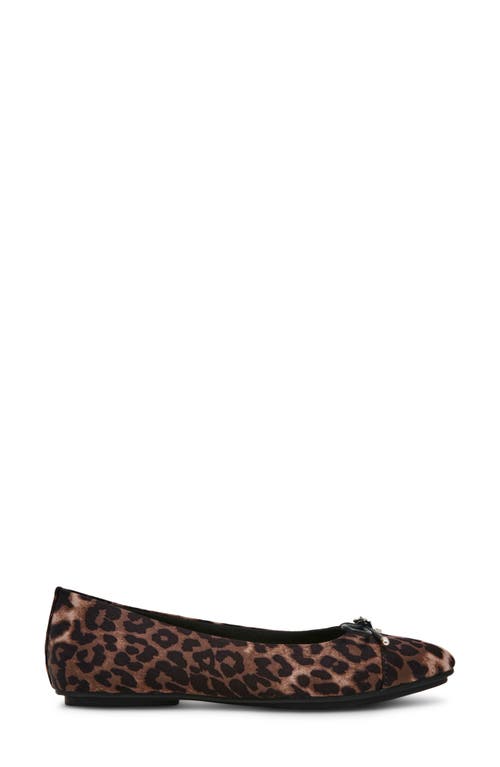 Shop Anne Klein Luci Cap Toe Ballet Flat In Leopard Satin