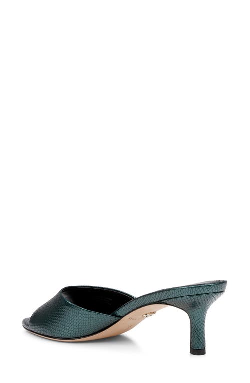 Shop Dee Ocleppo Bogota Pointed Toe Slide Sandal In Moss Leather