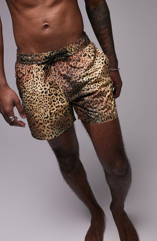 Topman Animal Print Swim Trunks in Brown