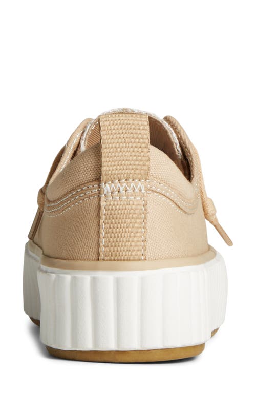 Shop Sperry Top-sider® Pier Wave Platform Sneaker In Beige