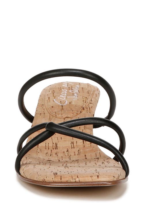 Circus Ny By Sam Edelman Faye Heels In Black