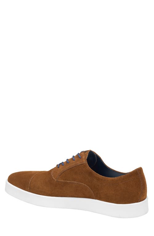 Johnston & Murphy Bolivar Cap Toe Sneaker In Snuff Italian Suede
