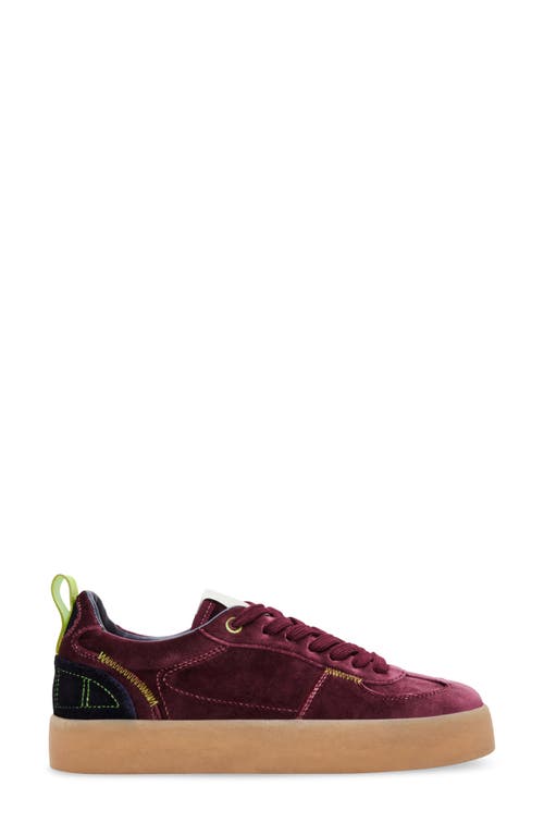 Shop Steve Madden Tucker Platform Sneaker In Burgundy Multi