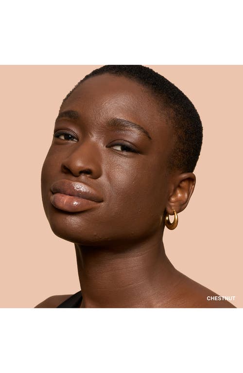 Bobbi Brown Weightless Skin Oil-controlling Foundation Spf 15 With Hyaluronic Acid Chestnut 1 oz / 30 ml In Chestnut