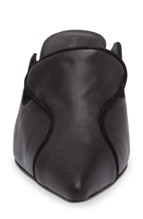 KOKO + PALENKI KOKO + PALENKI PARKER POINTED TOE KITTEN HEEL MULE