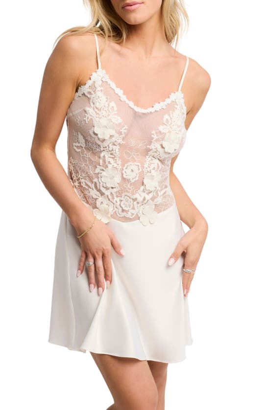 Rya Collection Lisbon Lace & Mesh Chemise In Ivory