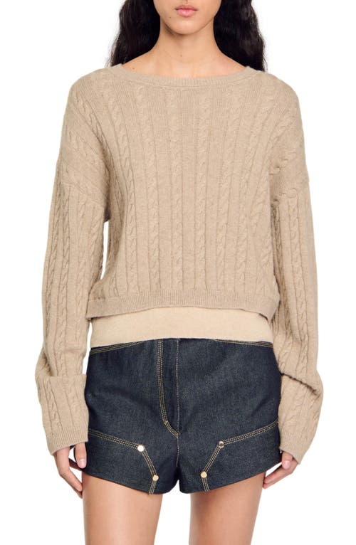 Shop Sandro Wool And Cashmere Sweater In Beige