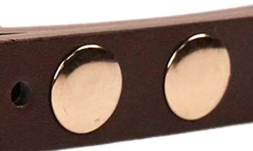 Petit Moments Phoenix Disc Belt In Brown/gold