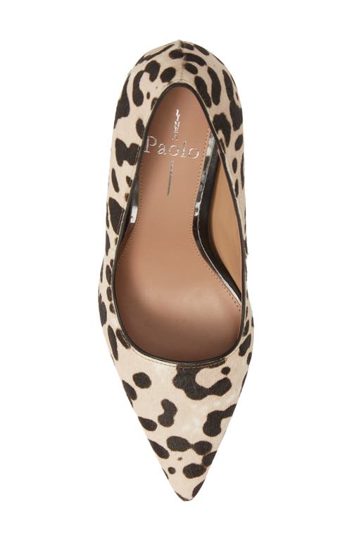 Shop Linea Paolo Payton Pointy Toe Pump In White/black Calf Hair