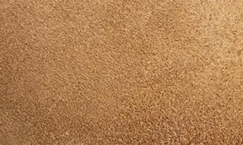 Antelope Meli Pointed Toe Bootie In Taupe